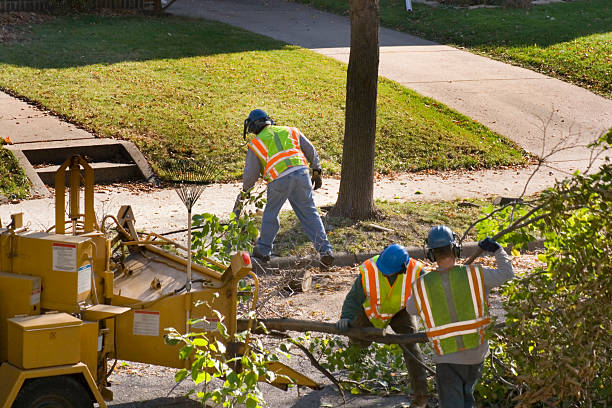 Best Grass Overseeding  in Grenelefe, FL